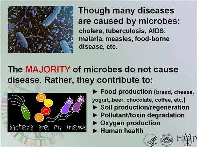 microbes