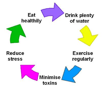circle of health