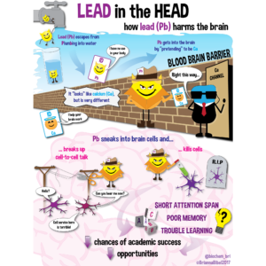 Lead in the Head.png - Wikimedia Commons 