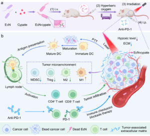 Hyper Baric chamber benefits